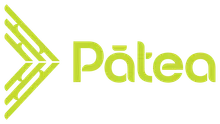 Pātea